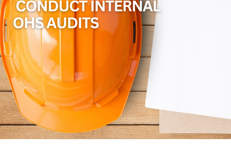 The Importance of Internal Audits in Quality and Compliance