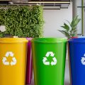 Environmental Safety_m