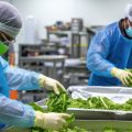 Food Safety and Food Hygiene_m