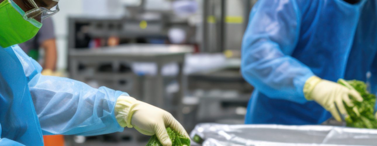Food Safety and Food Hygiene_m
